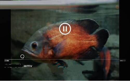 win8系統怎么使用自帶視頻應用